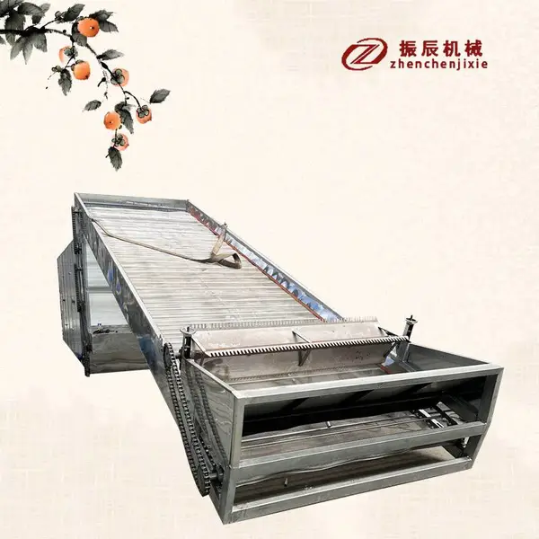 网带连续式线椒烘干机 红辣椒单层带式干燥机 紫菜海带烘干设备