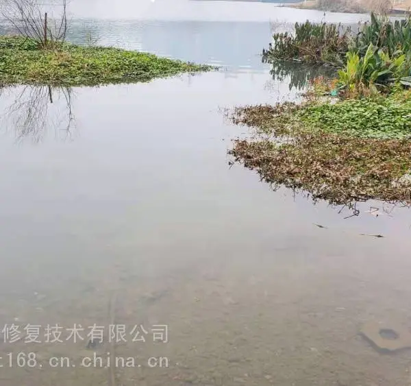 【城市河道底泥生态治理工程原位固化修复剂】价格_厂家-供应商网