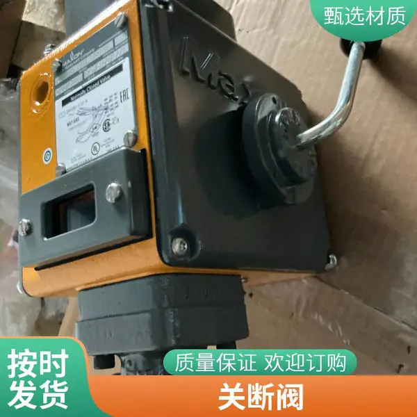 ����ɭMAXON 25663 47232 18110 23793 37160 1081869�缫����˫