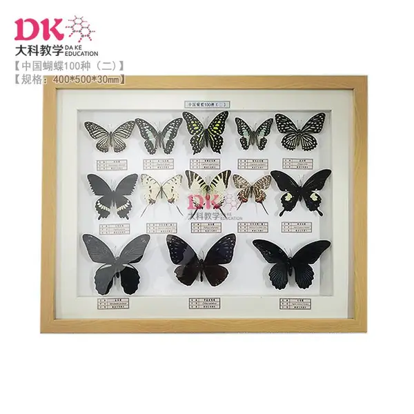 �й������걾100�� ���40*50cm 6��װ���ظ���Ʒ����� �����ģ�