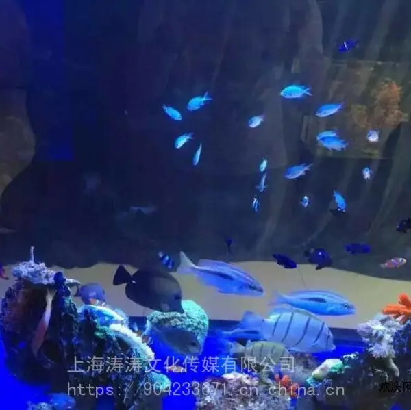 ����չ������Դרҵ����չ�����������������