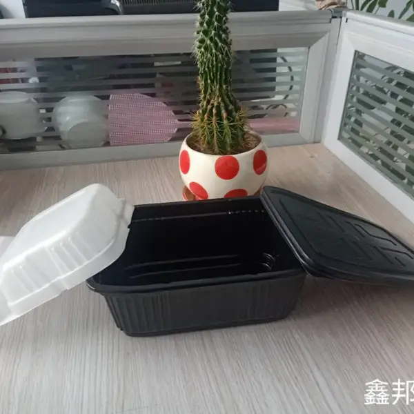 鑫邦包装生产自热排骨米饭盒 火锅汤料PP塑料盒 PP网红自助火锅盒