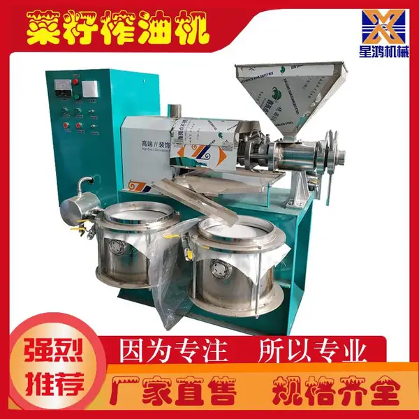 榨油机 不锈钢菜籽榨油设备 出油率大 星鸿机械