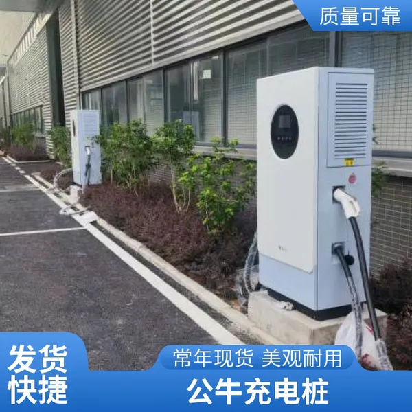 畅享绿色出行,公牛120KW充电桩,公园双枪快充