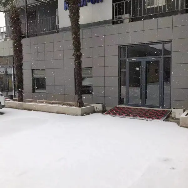 ��������������Ͻ�������Terfenol-D��������������