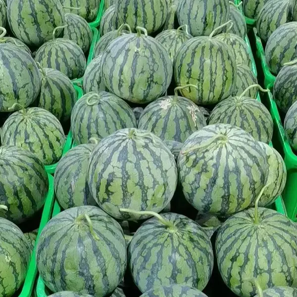 �����������ϳɶ�ˮ������8424����ˮ��������ˮ�������г��绰