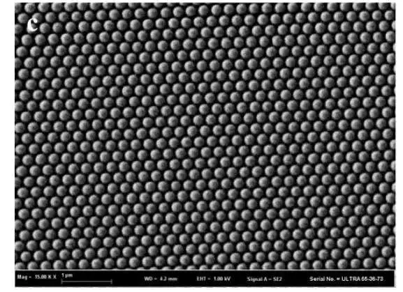 50nm 介孔二氧化硅