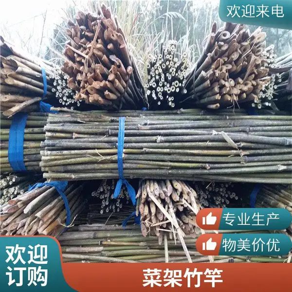 小竹竿供应售卖 种菜竹架子 爬藤造景竹杆 架菜竹各种规格 韧性强