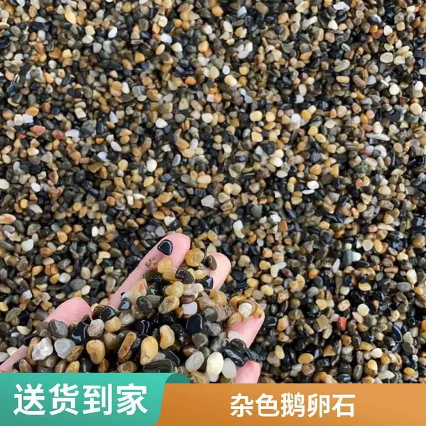 鹅卵石 景观石 彩色 园林装饰 庭院鱼池 现货发车