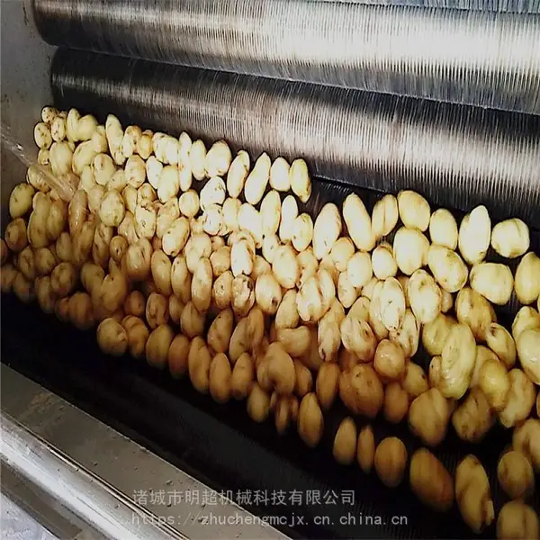 明超净菜水果蔬菜土豆高压喷淋毛辊去皮清洗机 多功能 全自动 厂家直供