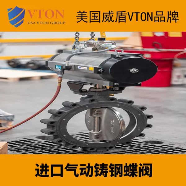 �����������ֵ��� ���͸�ʴ�� ��������VTONƷ��