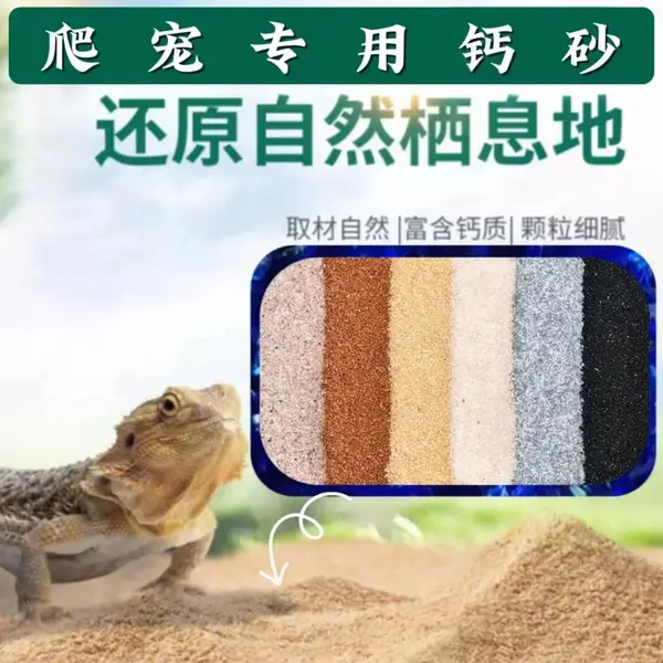 爬宠钙砂 爬虫垫材 鬃狮蜥蜴守宫蝎子陆龟饲养用品 沙漠造景装饰沙