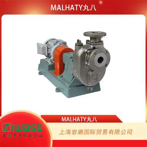 MALHATY丸八，中高扬程不锈钢自吸式螺旋泵2FHS-16