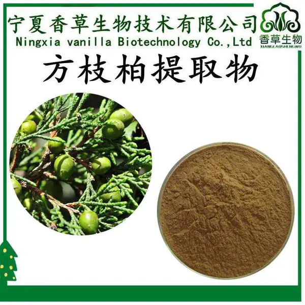 方枝柏提取物 10:1 原粉 100目 方枝柏速溶粉 水溶
