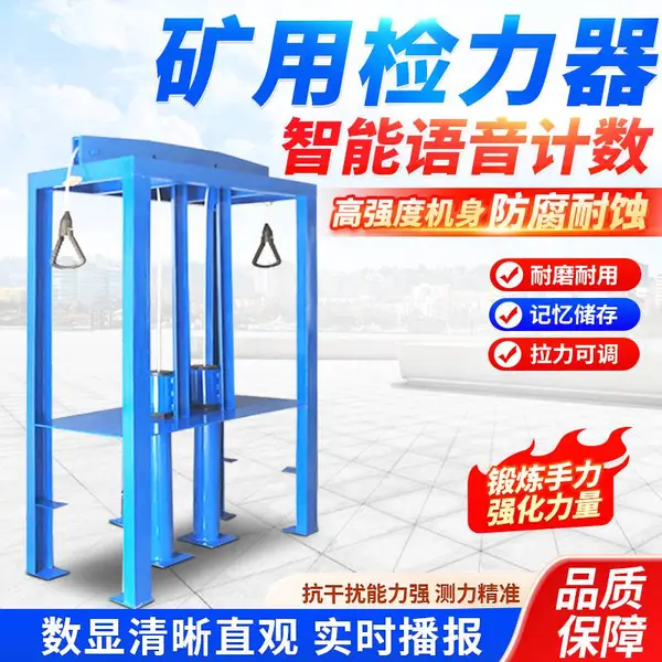碳钢材质双人检力器 YSL-20型检力器 单人检力器 语音数显计数拉力器