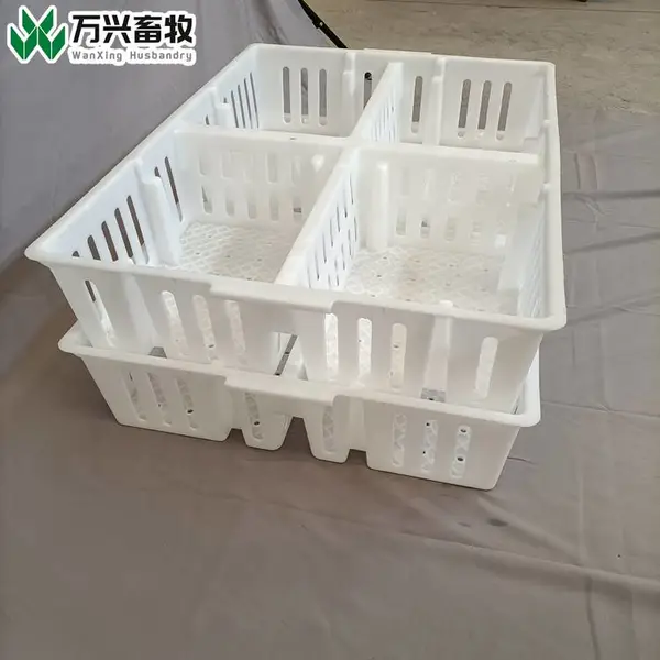 雏禽周转筐 塑料筐 小鸡筐 四格鸡苗筐 源头厂家万兴畜牧
