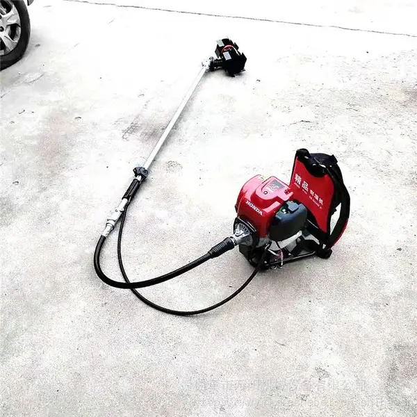 ����ʽ��ݻ� �����������ֳ�ʽ��԰������ �߲˴����ݻ�