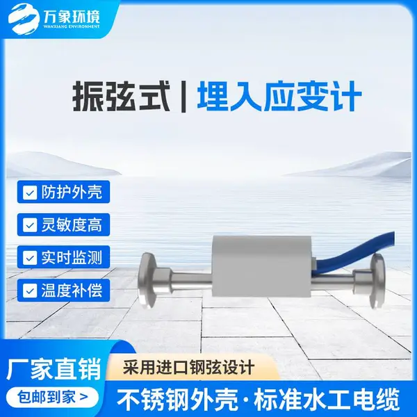 埋入应变计 埋入式应变计 应力应变计 万象WX-YB2