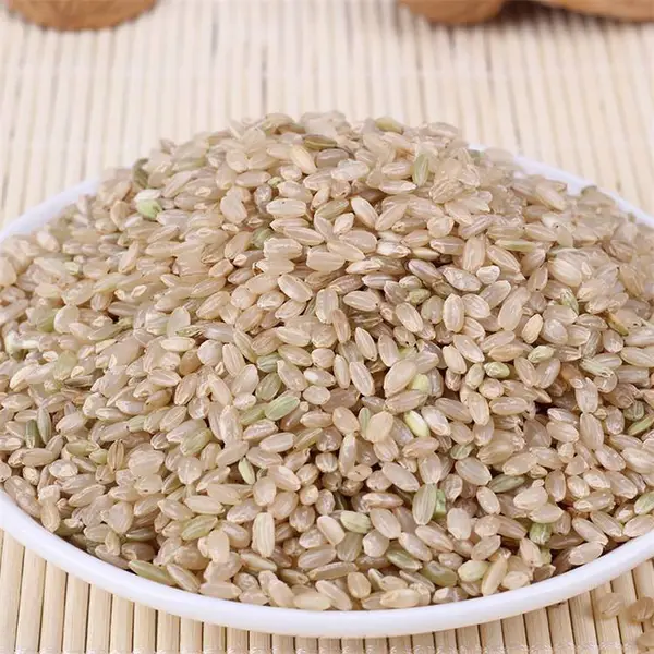 彝山香批发 绿糙米 绿硬米 杂粮 粗粮 健身脂减饭