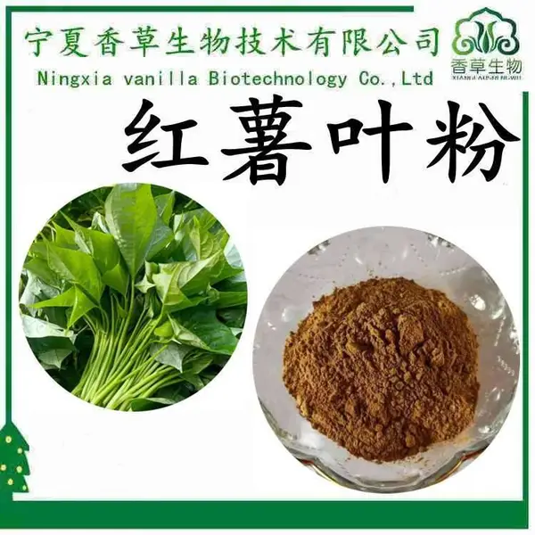 红薯叶粉 100目 浓缩粉 红薯叶提取物 10:1 速溶粉 水溶