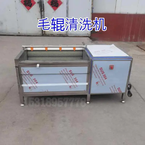黄精生蚝毛辊清洗机 土豆去皮设备