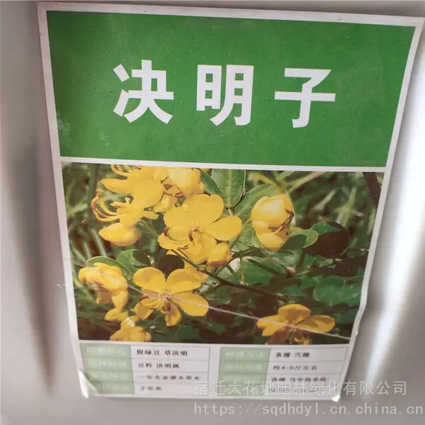 ��������ҩ������ ���������� ��ѿ*** �۸���� ***