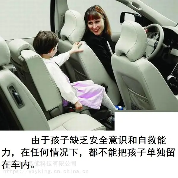Intelligent Occupancy Monitoring System人员防丢车内系统方案
