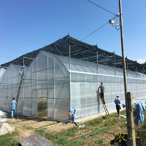 益阳三亩连栋大棚需要多少材料 五十亩连体大棚多少钱 长寿无滴薄膜批发