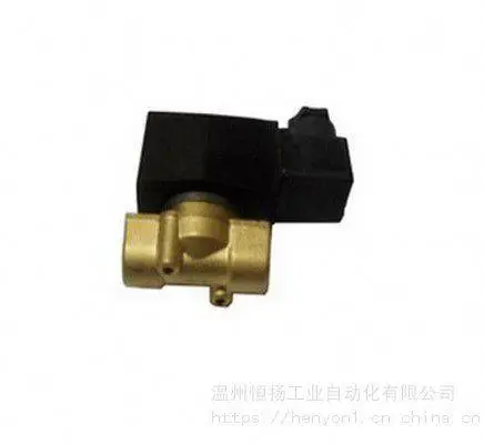 ���ˮ��2T-10����ú����ŷ�DN10�綯����24v���ط�***��ȼ����ŷ�