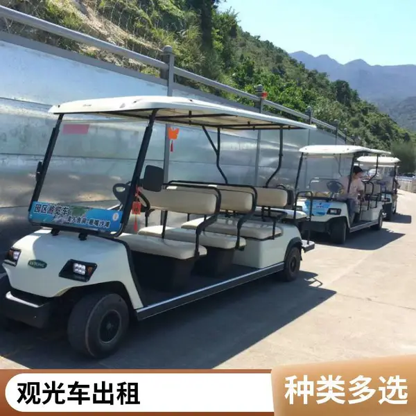 瑞通 电动观光车 电动车 四轮6坐电动观光车租赁