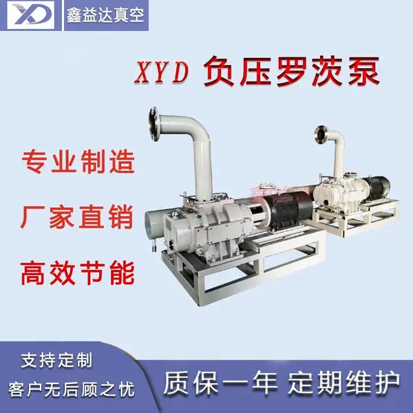 鑫益达真空供应XYD-Q1000型号直排罗茨真空风机 铸铁材质