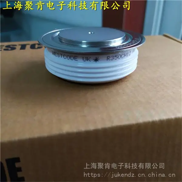 ��������Rϵ�п��ٿɿع�R0633YS10E���ʾ�բ��