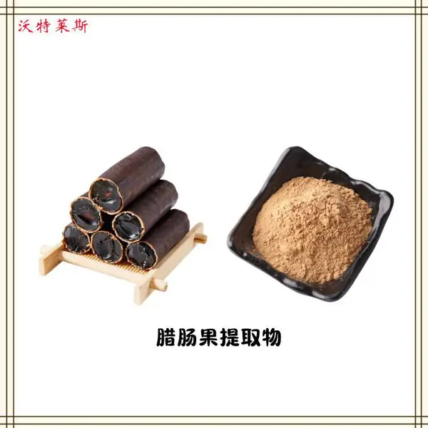 腊肠果提取物, 腊肠果粉, 腊肠果浸膏, 1公斤起订, 包邮