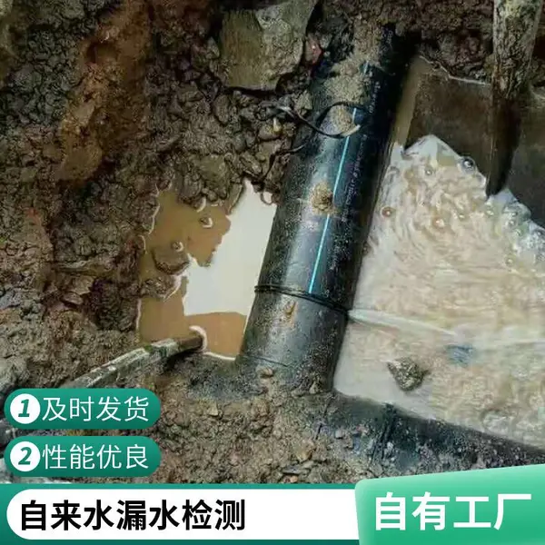 长沙管道检测气体检漏仪 消防自来水管漏水精准定位仪