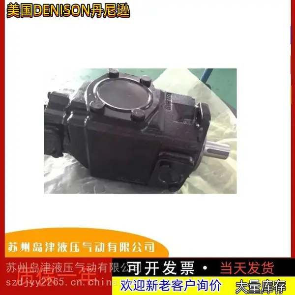 ����DEN***N����ѷ������˫��ҶƬ��T6CC-008-003-1R00-C100