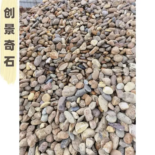 广东东莞工业水处理鹅卵石 东莞杂色鹅卵石 东莞鹅卵石污水处理厂