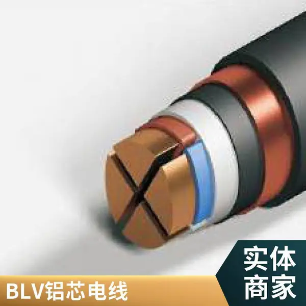 双利电缆 路灯专用电缆 YJV 2*10平方 户外耐候 黑色护套 现货