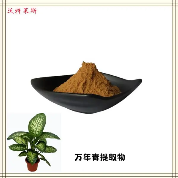 万年青提取物 10:1 浓缩粉 提取液 浸膏 多种规格 1kg起订 包邮