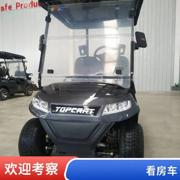 电动观光车 四轮电动车品牌 观光游览客户接待专用车