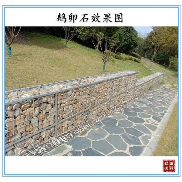 林园小路铺设石鹅卵石-鱼缸造景石鹅卵石-河源鹅卵石点缀石