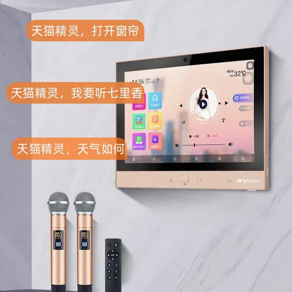 Hmovie 山水家庭背景音乐主机套装 WIFI智能音响系统 DM-8