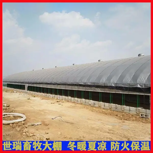 搭建养牛大棚钢材 肉牛养殖棚建设 养牛场施工