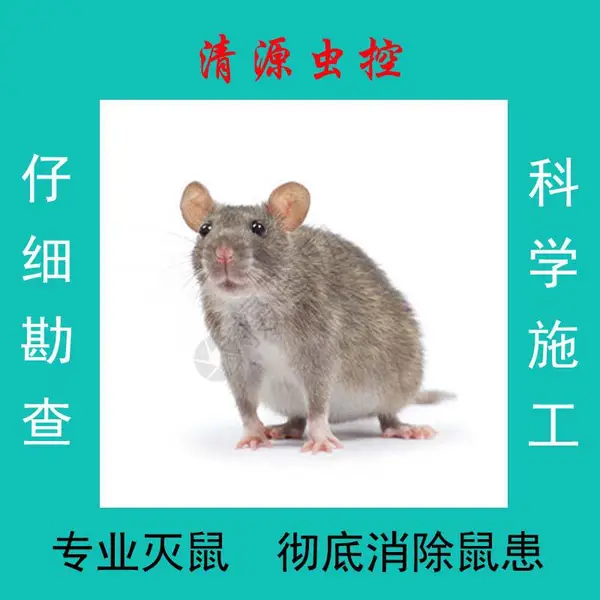 ��Դ���С�����������β���������������