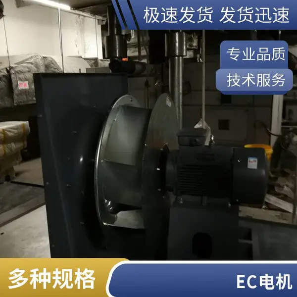 ��˶���� ��Ч�޿Ƿ�� ����Ҷ������Ҷ��EC��� ����ʡ�� ����ֲ���