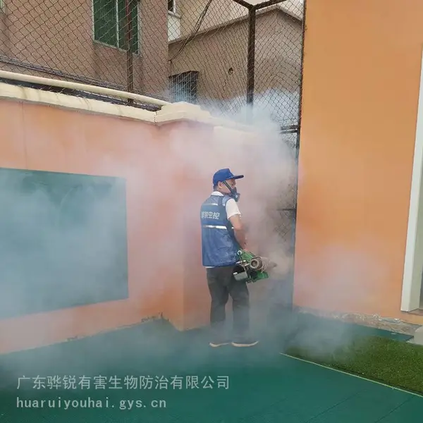 浙江杀虫灭鼠 浙江灭苍蝇公司 彻底治理蚁患