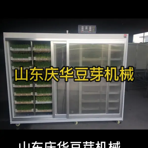 山东青州庆华全自动豆苗机、萝卜豌豆香椿油葵苗玉米小麦高粱双维藤花椒苗
