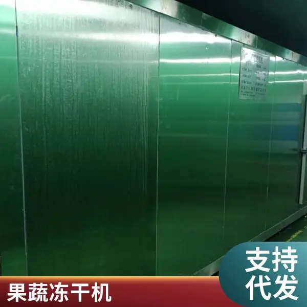 冻干机设备 冷冻干燥机 食品烘干机