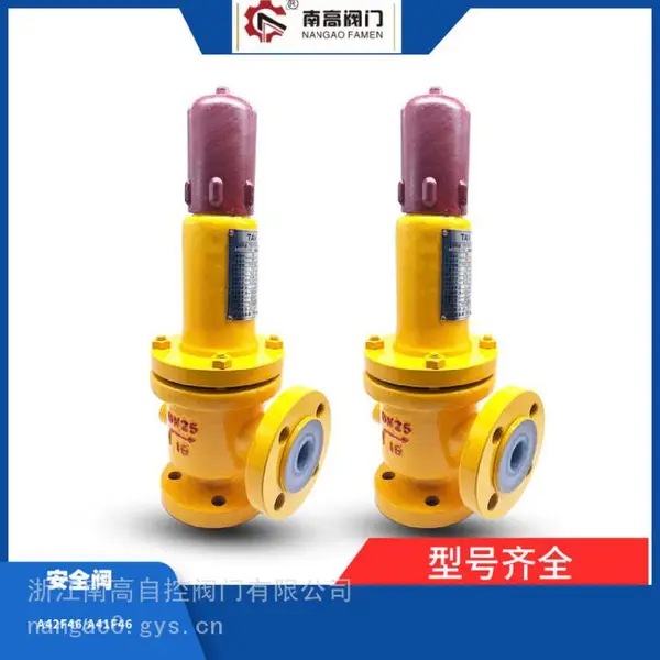 南高阀门 化工管道用耐腐蚀衬氟安全阀A42F46-25C铸钢材质