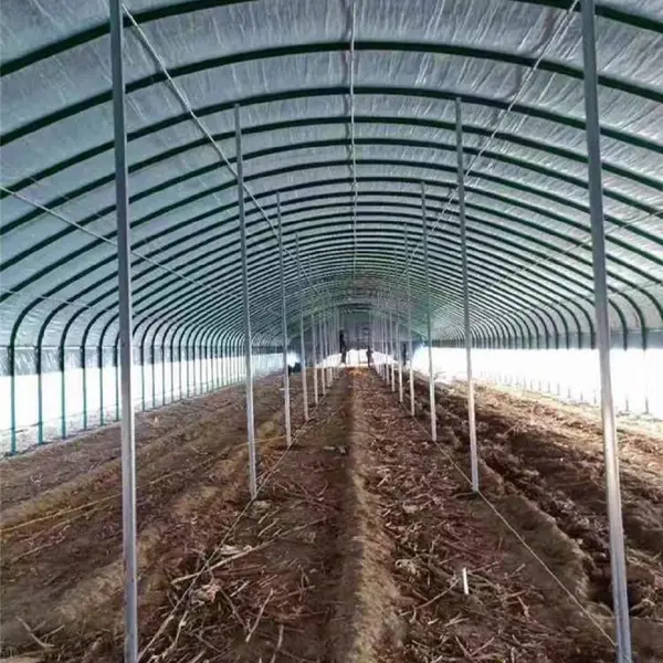 玉环 椭圆管骨架30*80 镀锌带管骨架 大棚骨架 包塑大棚骨架