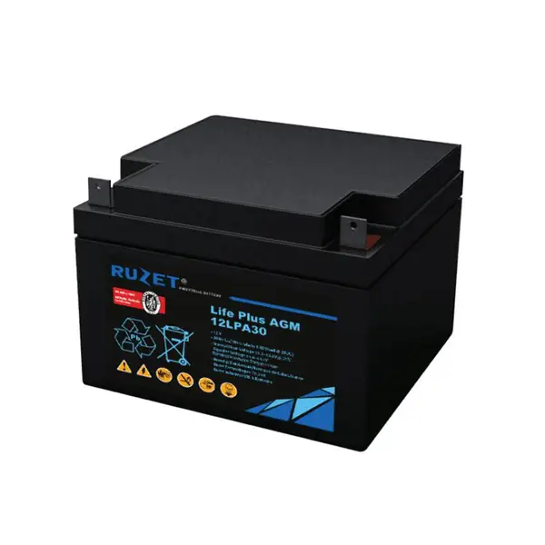 RUZET蓄电池12LPA30 12V30AH 应急电源 UPS/EPS直流屏配套